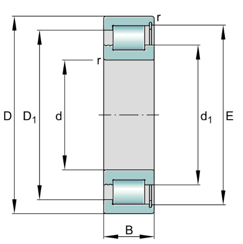 SL181872-E Full Complement Bearing